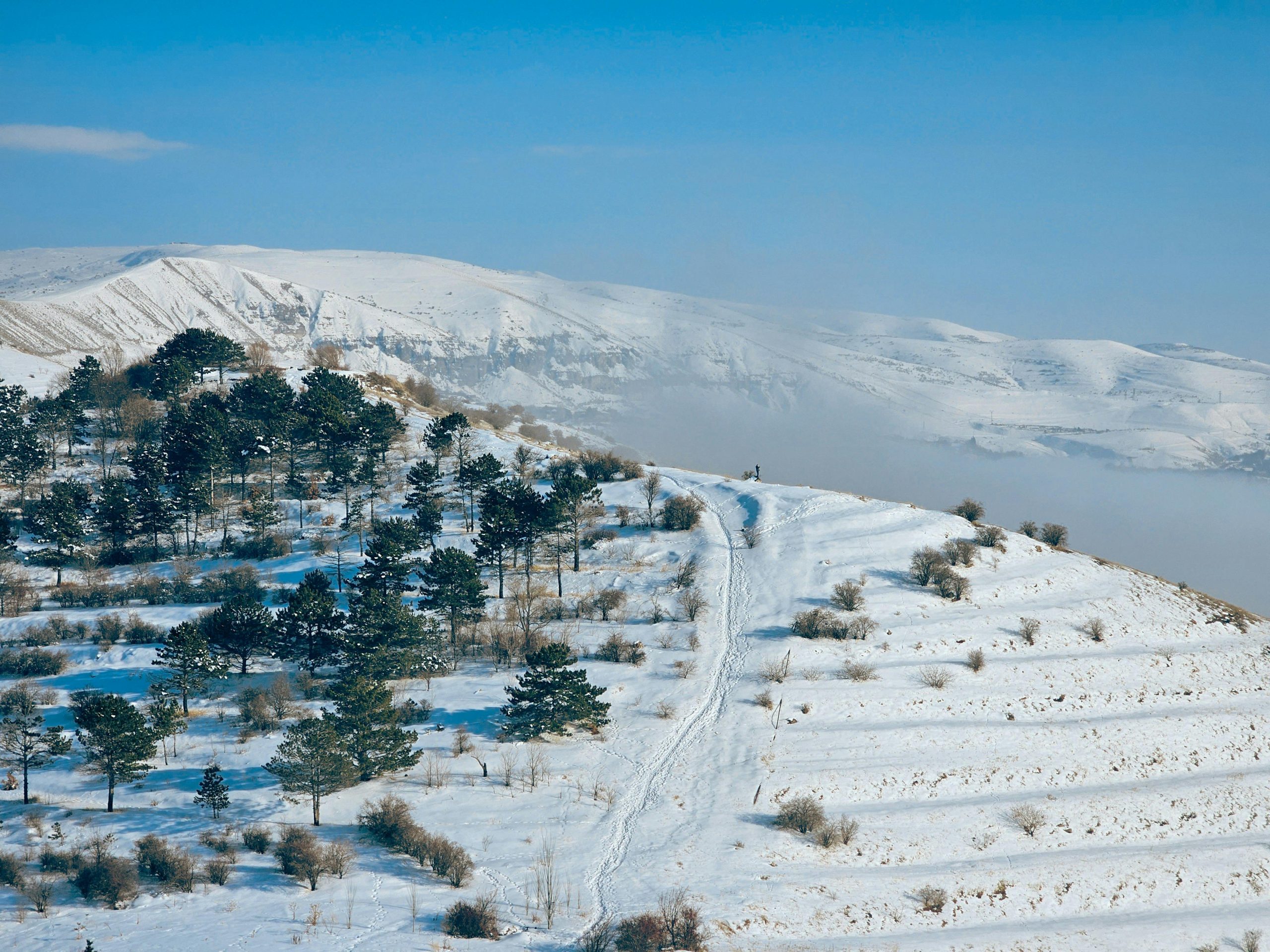 Snow-covered landscape with pine trees in Jrvezh, Armenia.